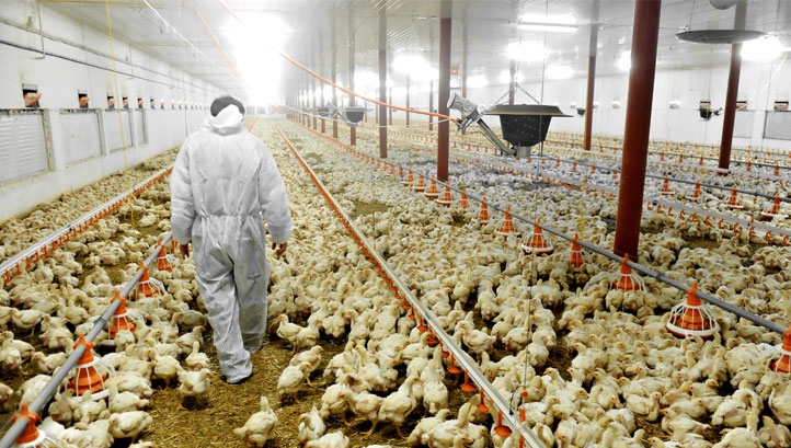 There are particular concerns about the decision's implications for the meat sector